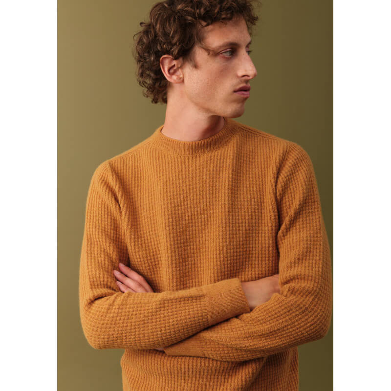 21ah-pull-homme-origine-recyclé-made-in-france-moutarde-2 21ah-pull-homme-origine-recyclé-made-in-france-moutarde-2
