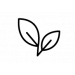 Lin